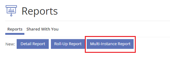 Multi-instance Report