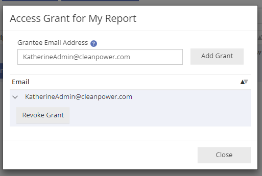 Granting Report Access