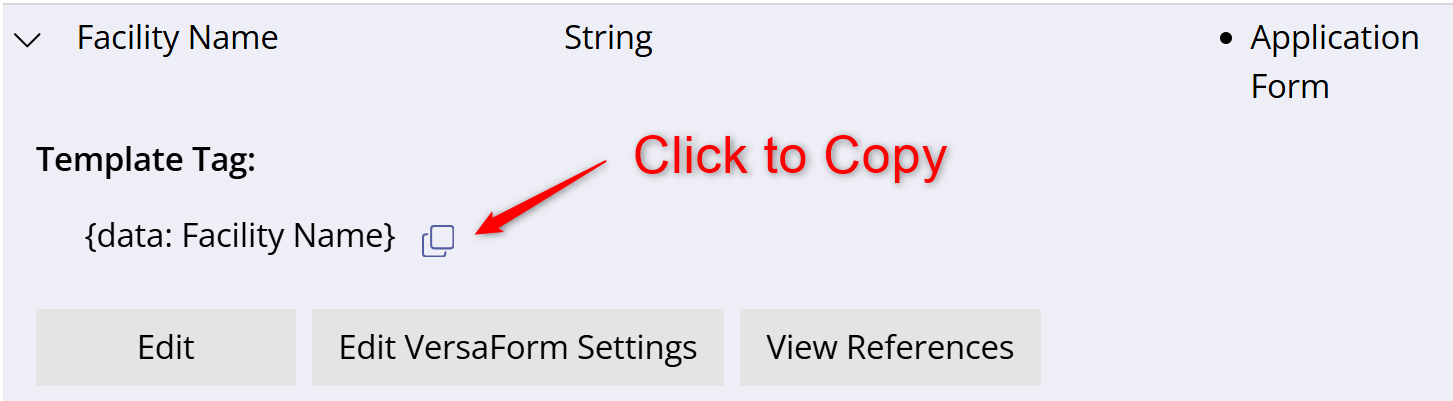 Copying Template Tags from the Data Fields Page
